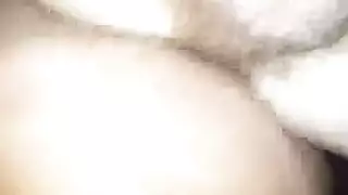 صينى الحمام غير محلوق