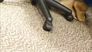 عبد قدم مهووس يخدم فتاة سمراء أنيقة