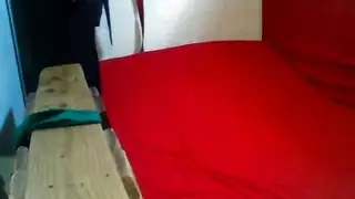 جميع افلام مدرب الكاراتيه مصري