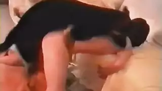 سكس نيك حيوانات كلاب جامد جوده عاليه