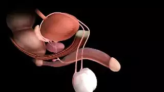 استغل أنهم في الشقه لوحدهم اغتصبها وهي رافضه وخايفه