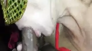 تدليك بالثدي مراهق وجنس عنيف مع كس مشعر